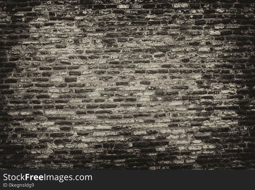 Grayscale Photo of Brickwall