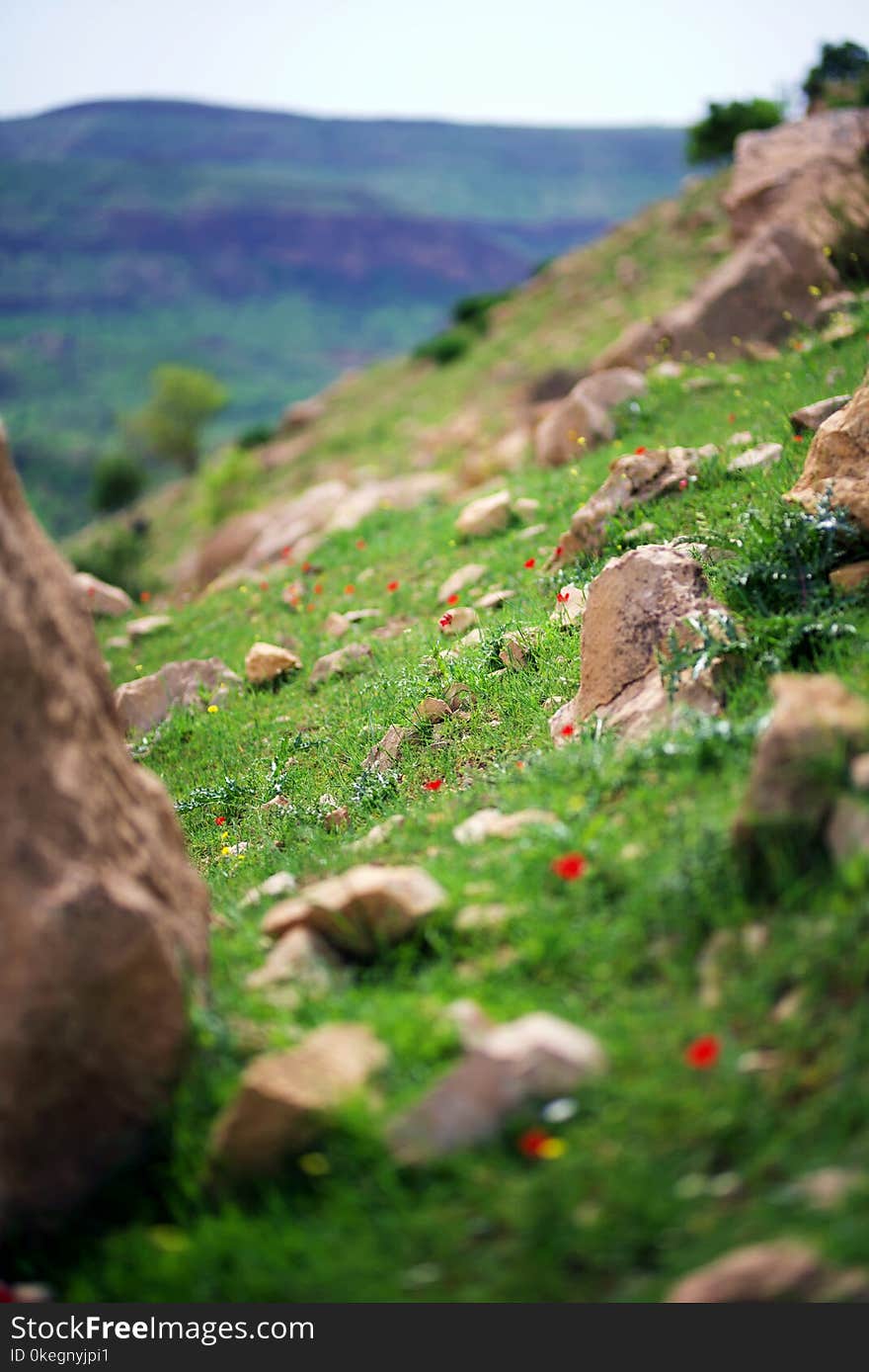 Close-Up Photography of Rocks on Grass