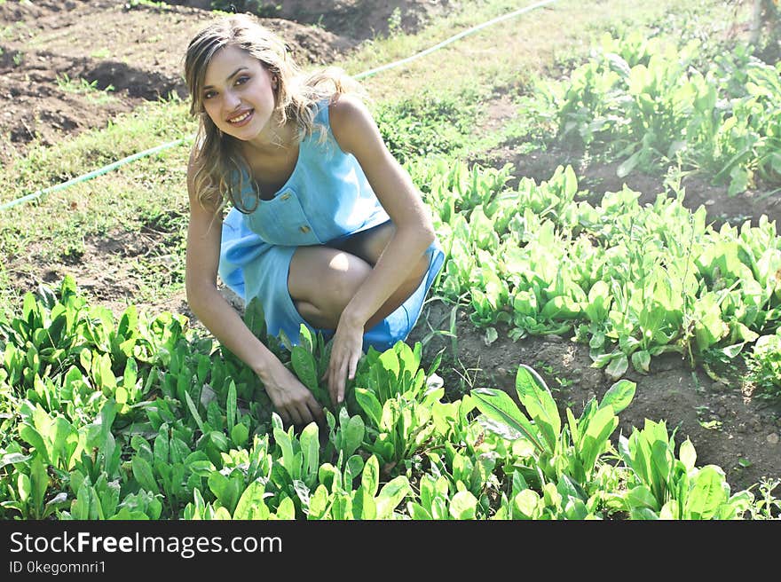 Photo of Woman Planting Vegetables