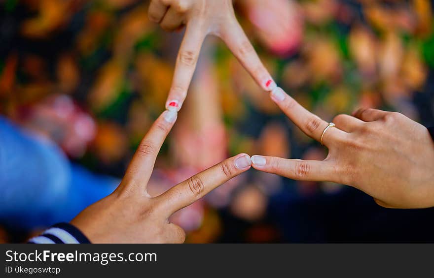 Photography of People Connecting Their Fingers