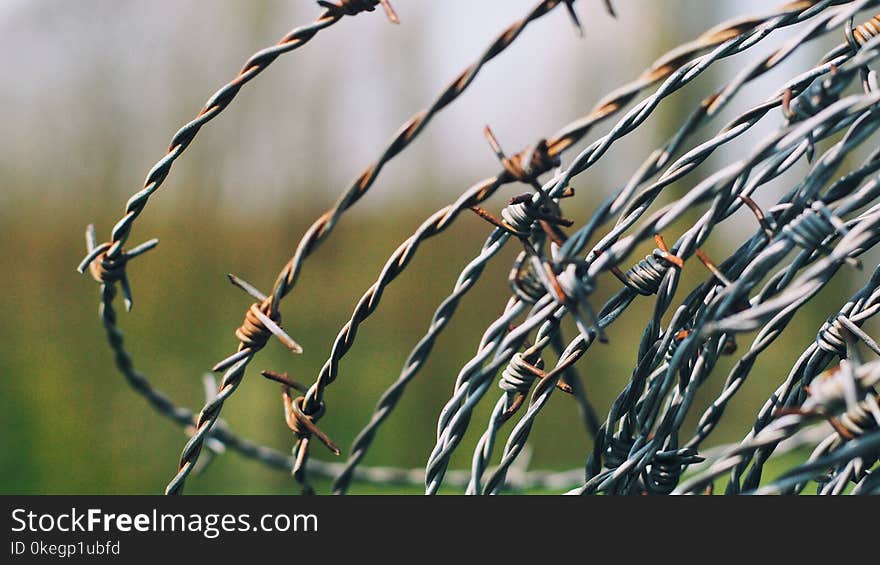 Close-Up Photography of Barbed Wire