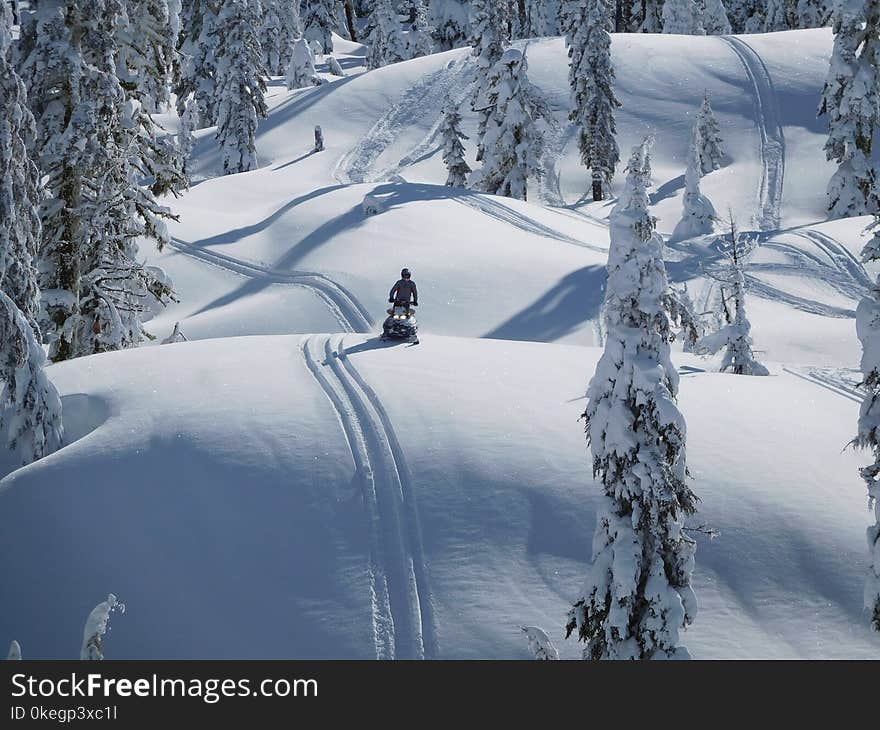 Person Riding Snowmobile Near Green Trees Covered With Snow at Daytime