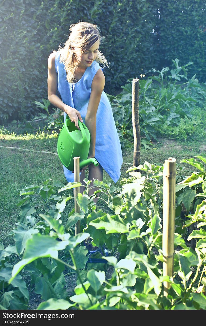 Woman Watering Green Plant