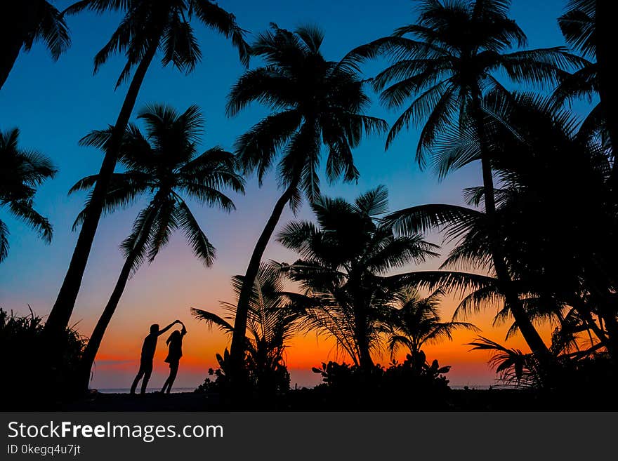 Silhouette Photography of Man and Woman Beside Trees during Sunset