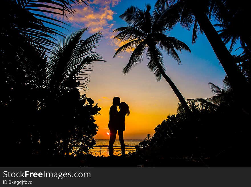 Silhouette of Man and Woman Kissing