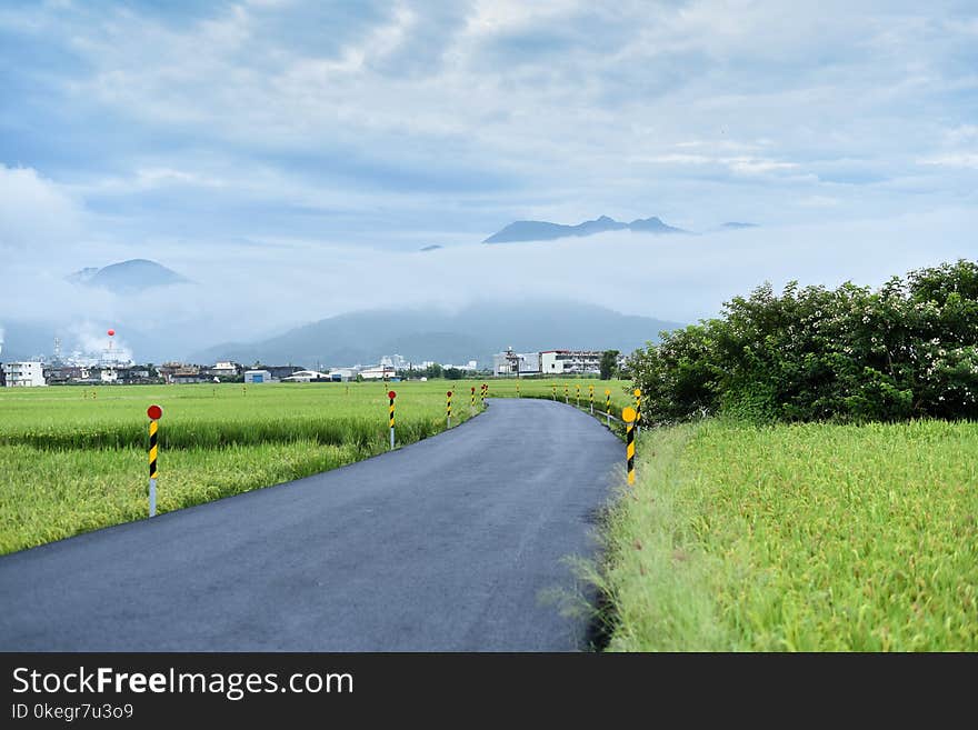 Road Surround by Green Grass