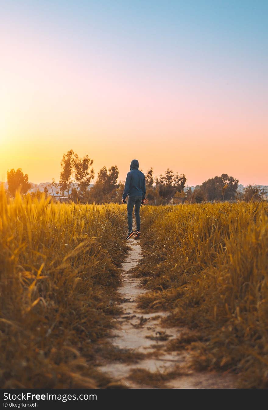 Man Wearing Blue Hooded Sweater