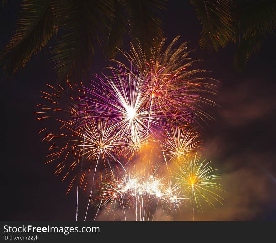 Abstract of fireworks celebration in night sky