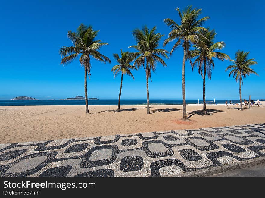 Sidewalk of Ipanema Beach and Palm Trees