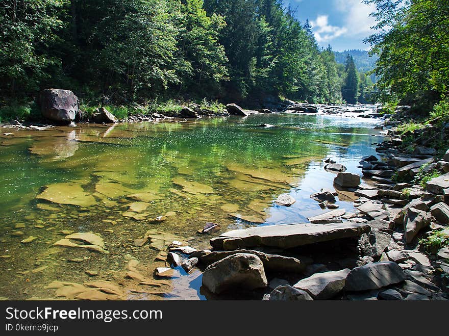 Mountain River Flowing Through The Green Forest