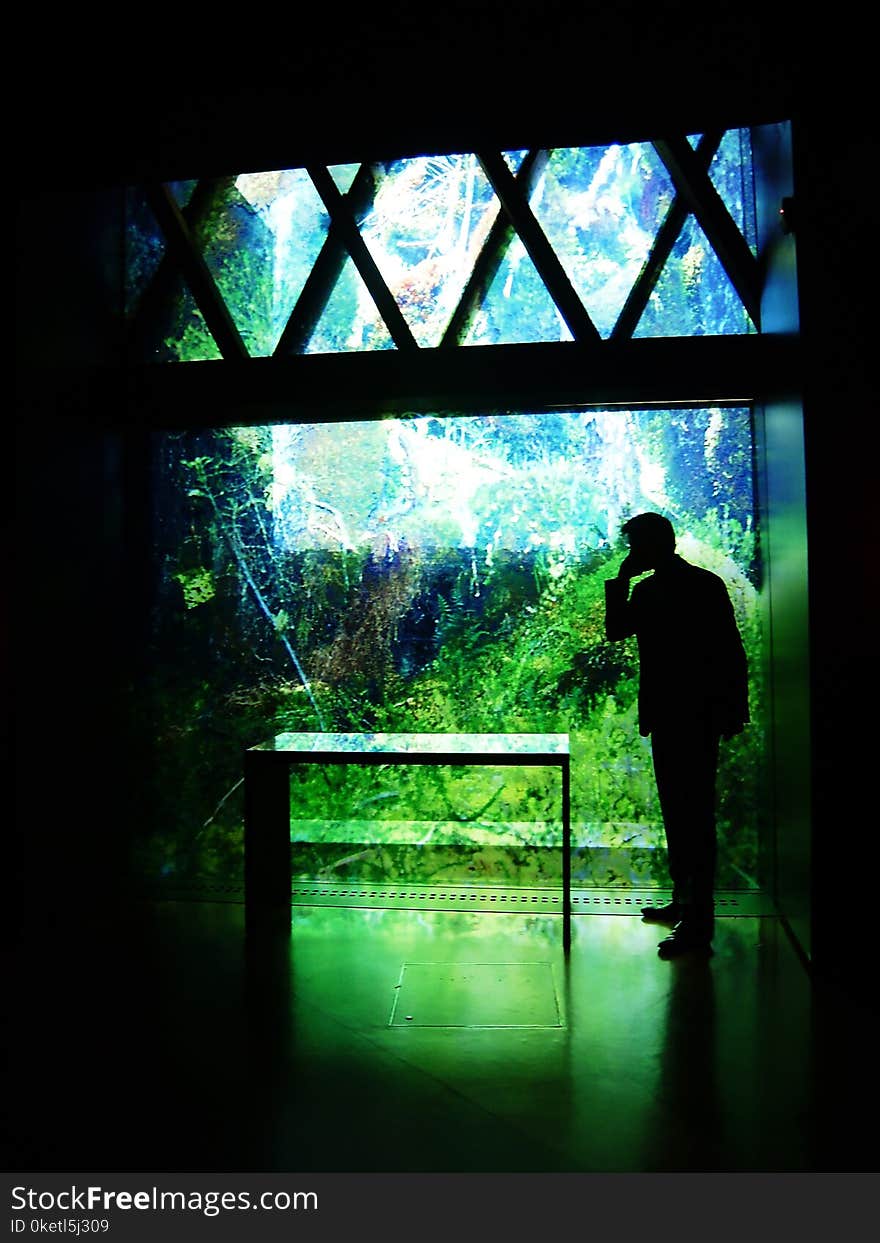 Business man on the phone next to printed glass facade