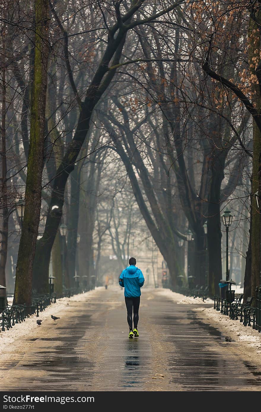 Man running along path surrounded by trees, in winter, using blue sports jacket, Krakow, Poland