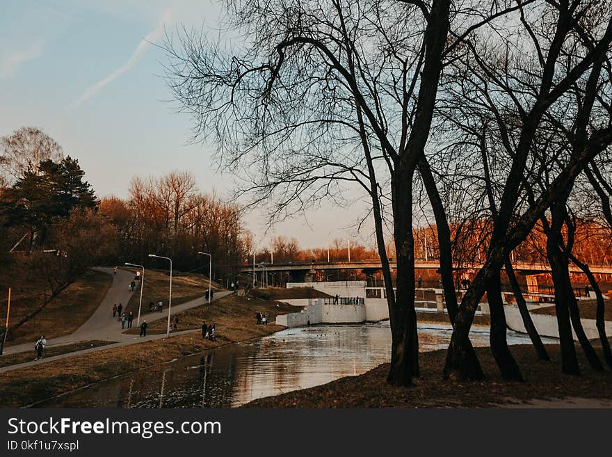 River Near Road