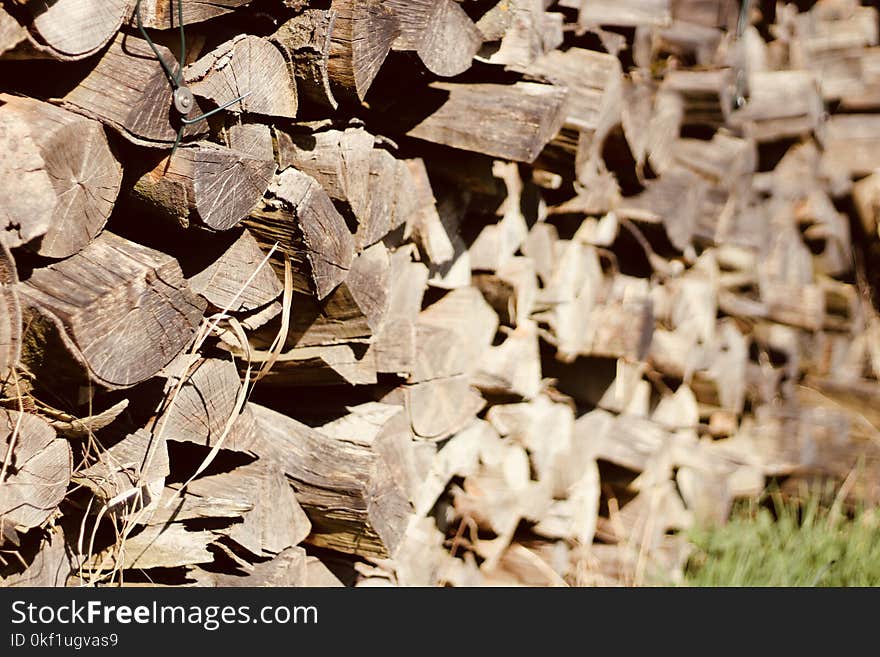 Photo of Piled Firewood