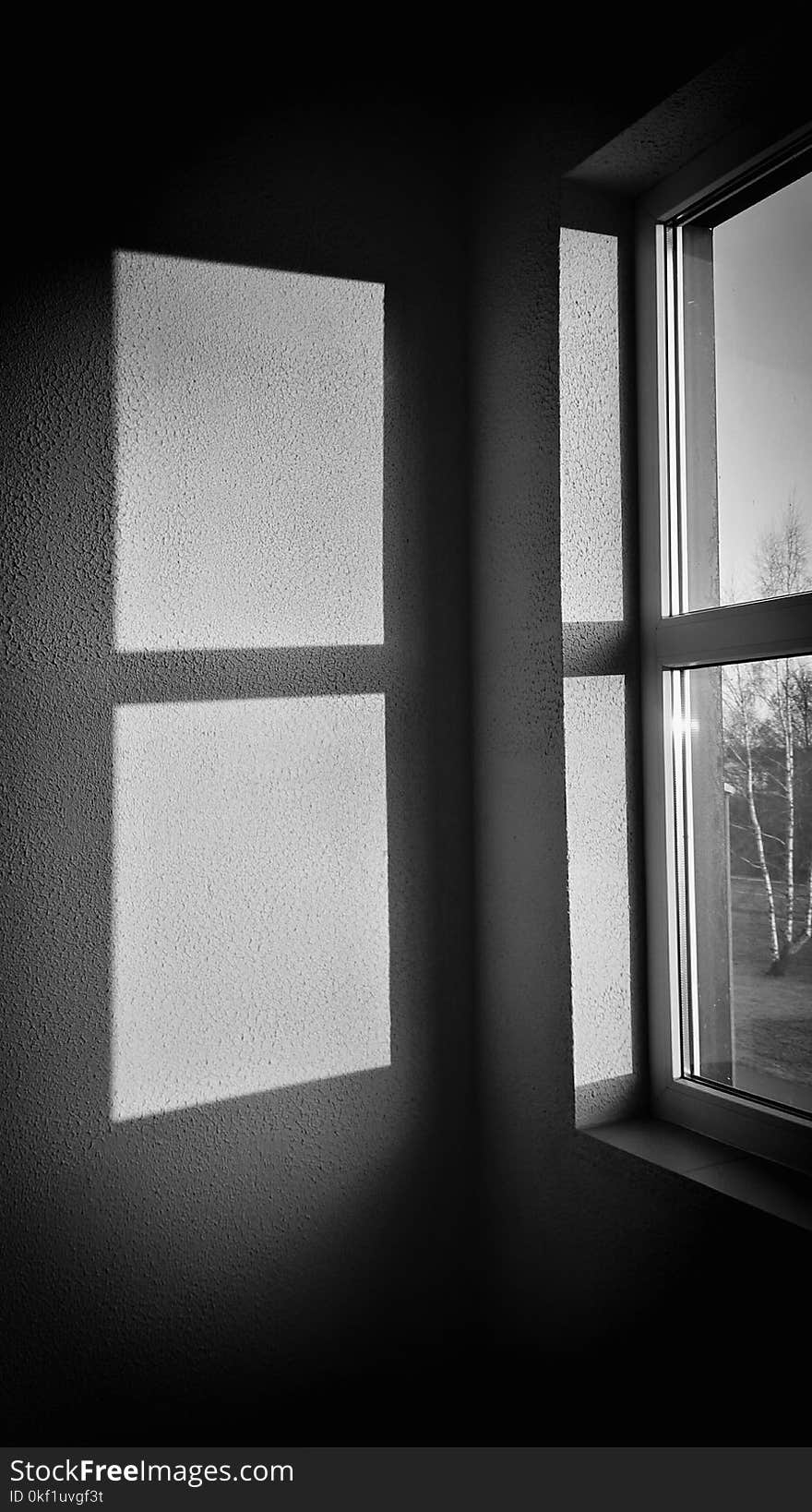 Monochrome Photography of Window