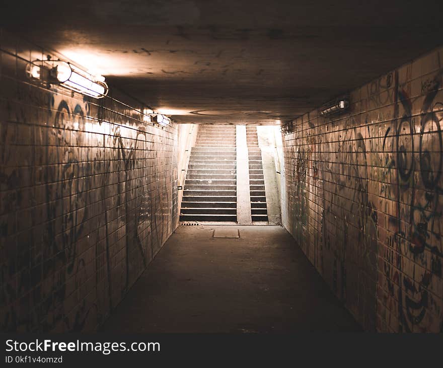 Landscape Photo of Concrete Stairs