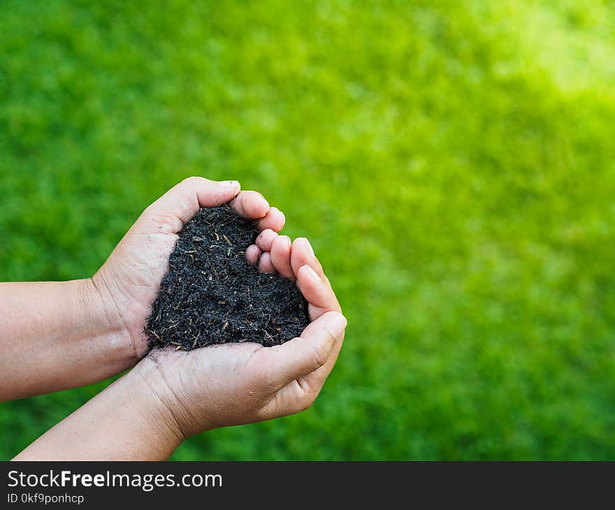 Earth day, save the earth, love concept. the woman hand holding a soil on green grass blur background.