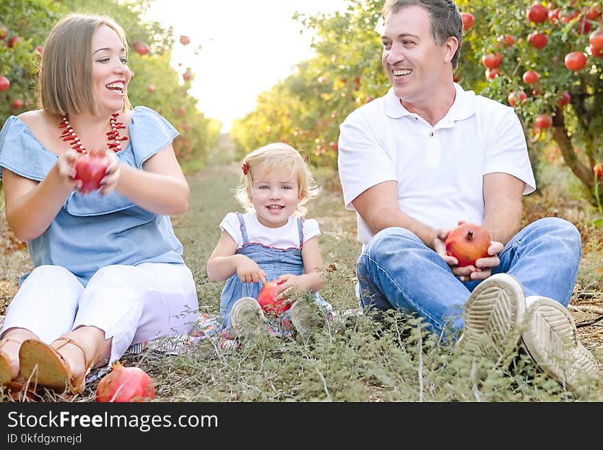 Portrait of happy smiling and laughting parents with cute baby daughter having fun in the pomegrate fruit garden. Harvest, Family