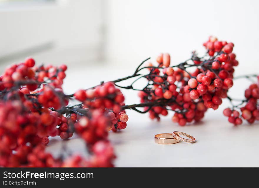 Two gold wedding rings with a diamond near the red berries.