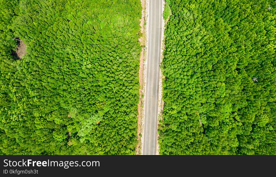 Aerial View Landscape Of Tree Or Forest , Krabi Thailand