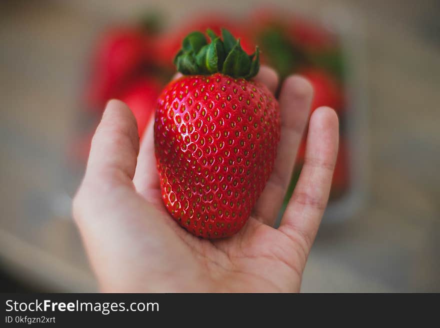 Close-Up Photography of Strawberry