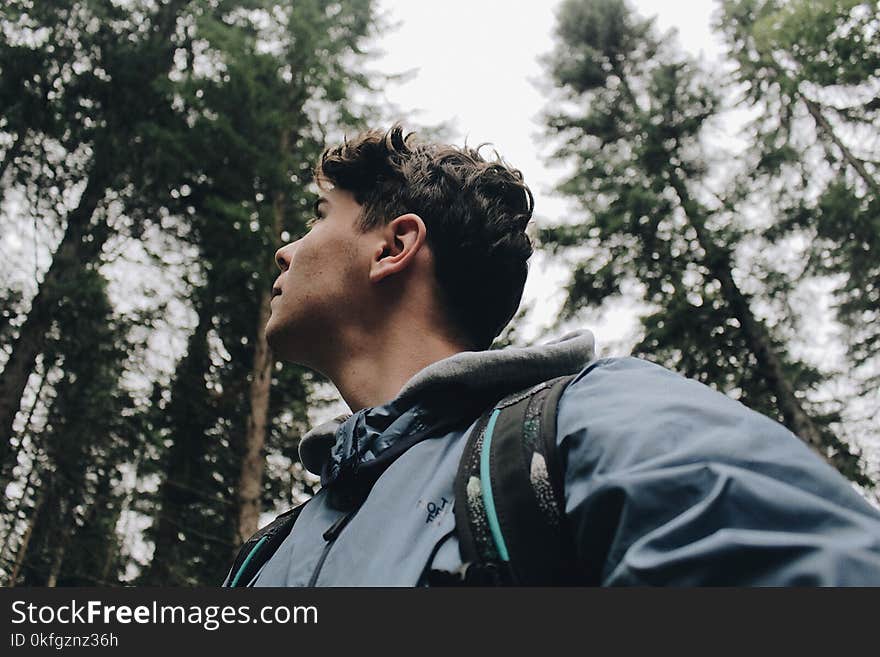 Man in Blue Hooded Jacket Under Tall Trees