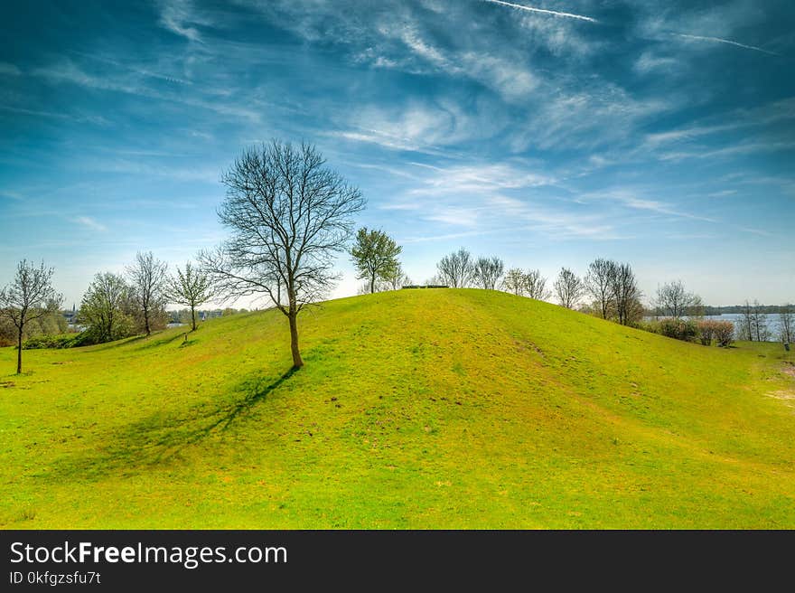 Green Grass Field