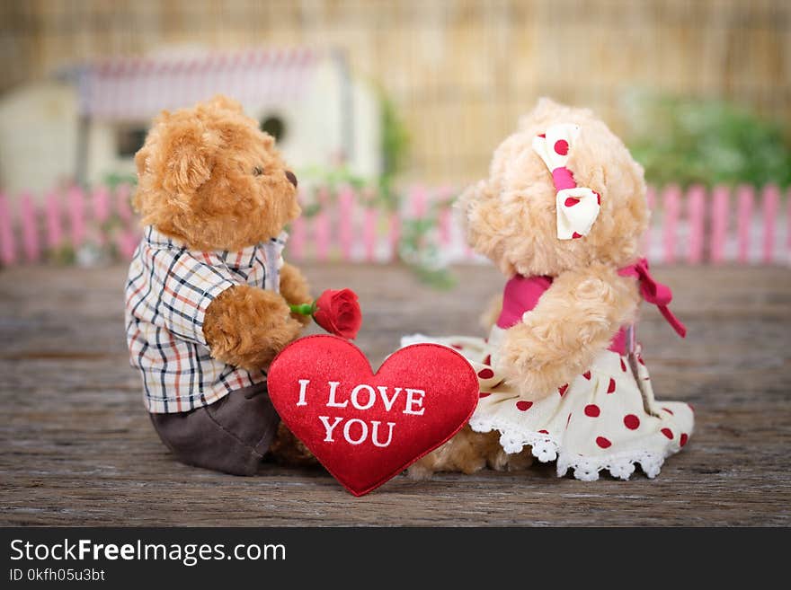 Photo of Teddy Bears Sitting on Wood