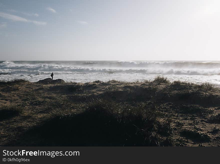 Photo of Ocean Waves