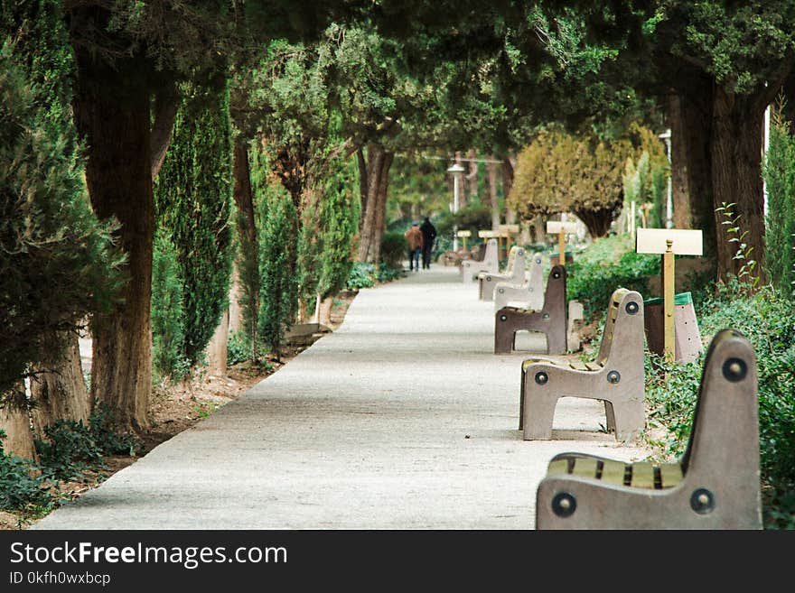 Gray Bench on Park