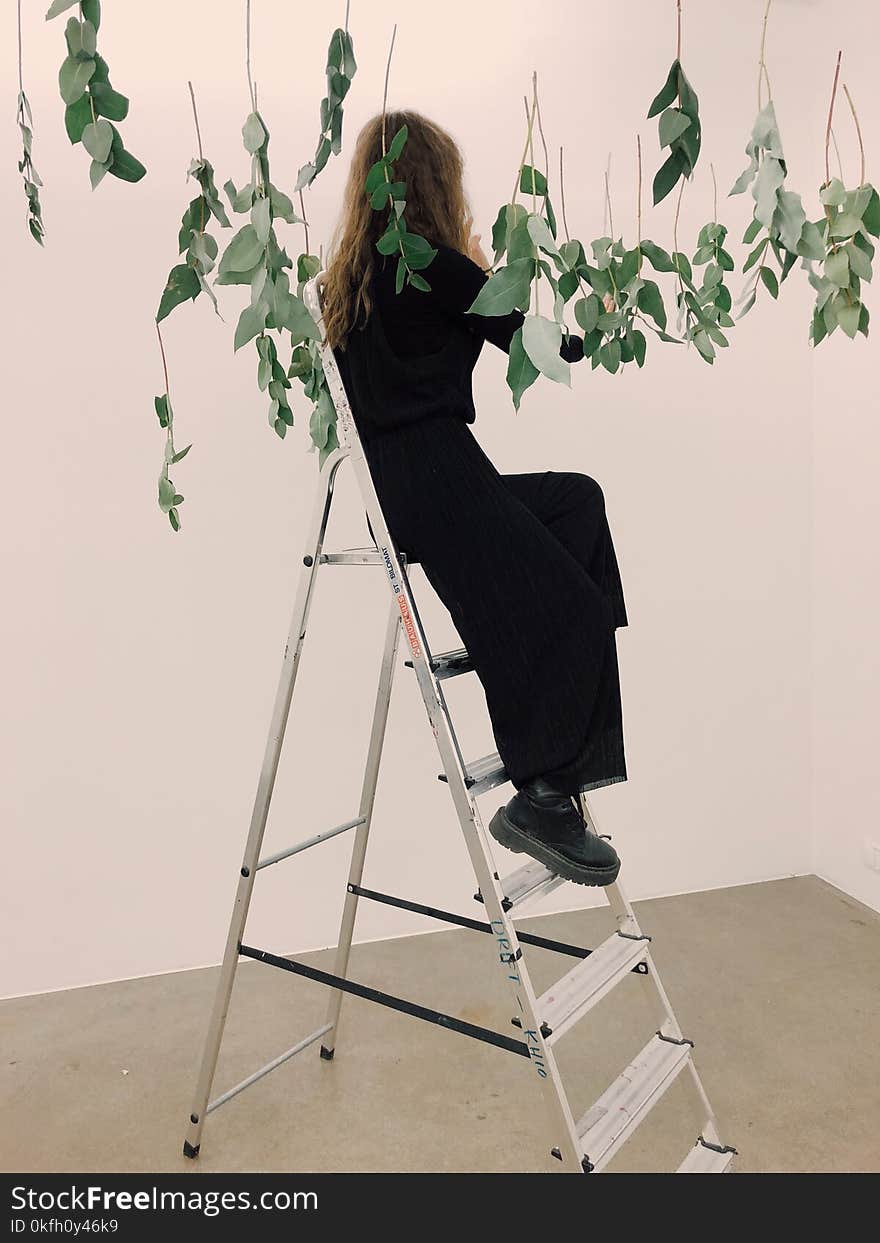 Woman Sitting on Tip of Ladder