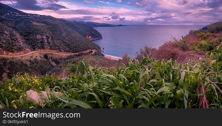 Nature, Vegetation, Nature Reserve, Sky