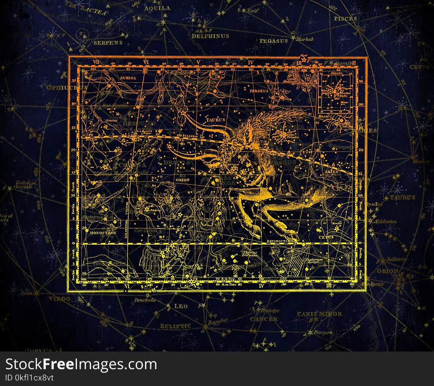 Atmosphere, Texture, Organism, Area