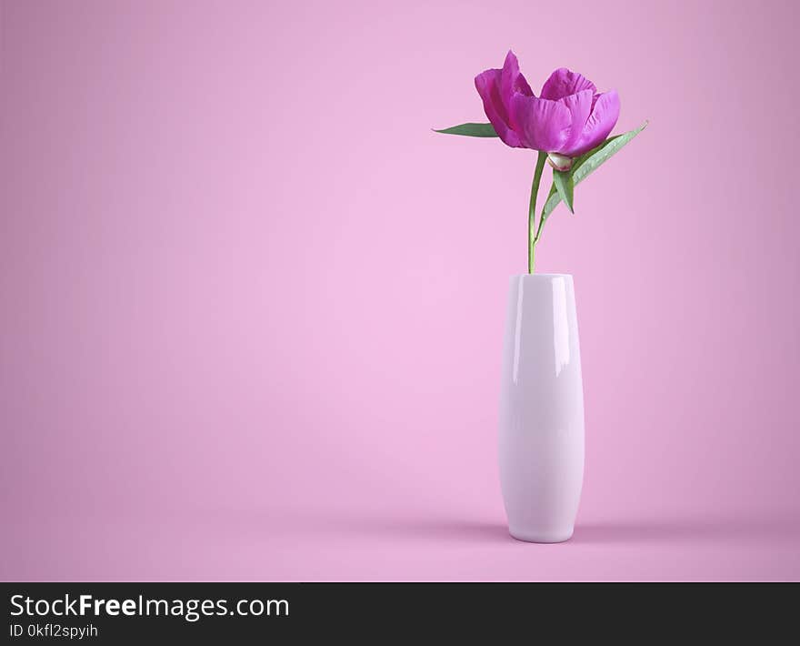 Flower, Vase, Purple, Flowering Plant