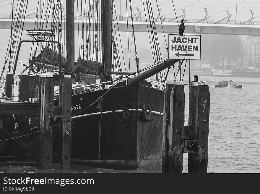 Black And White, Water, Monochrome Photography, Vehicle