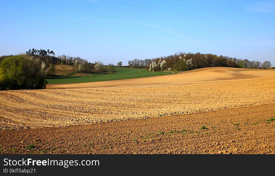 Field, Sky, Grassland, Plain