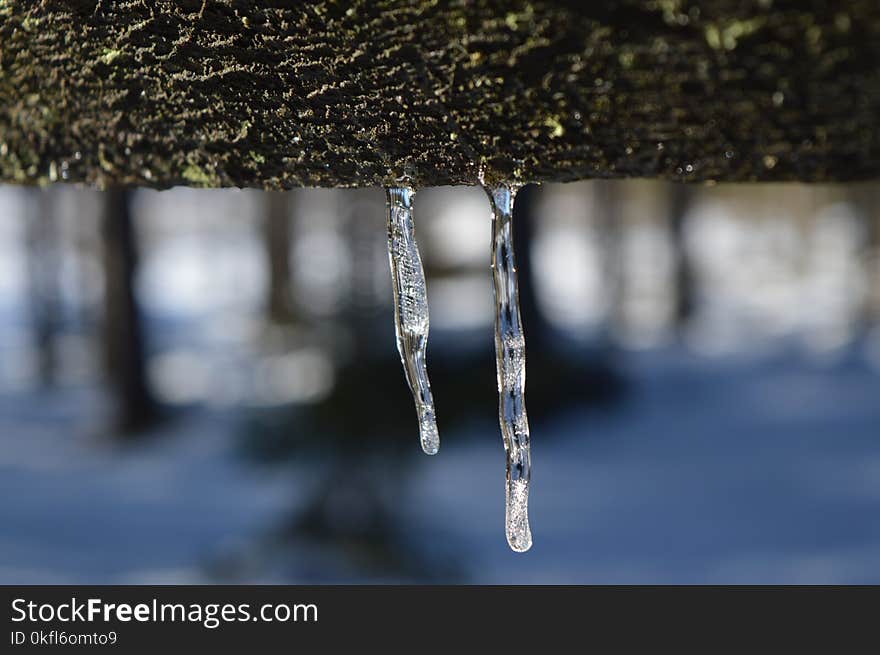 Water, Freezing, Icicle, Ice