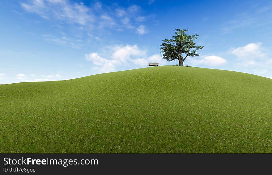 Grassland, Sky, Field, Ecosystem