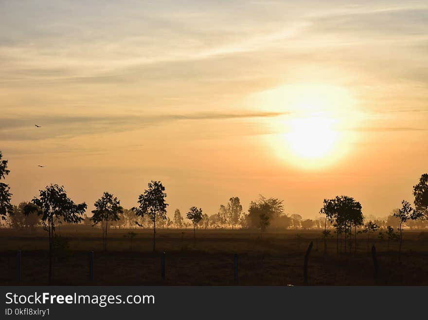 Sky, Sunrise, Dawn, Morning