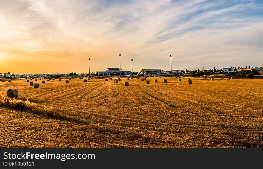 Sky, Field, Plain, Horizon