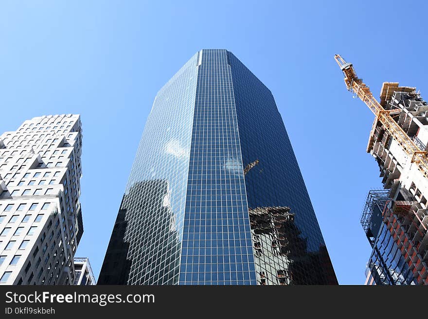 Skyscraper, Metropolitan Area, Building, Daytime