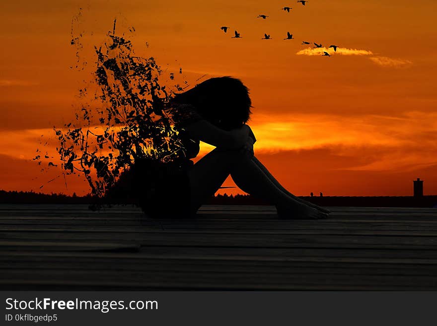 Sky, Sunset, Silhouette, Sunrise