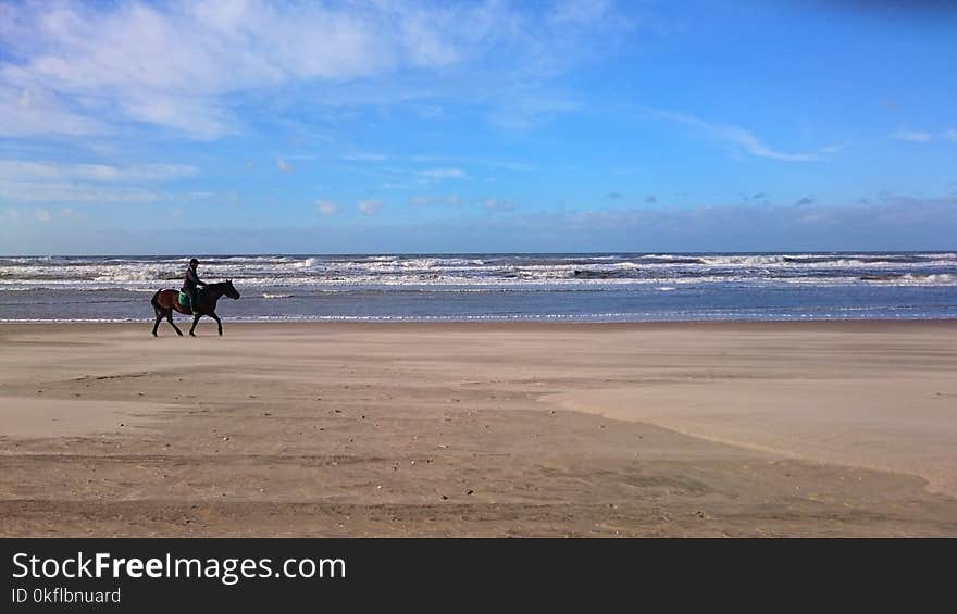 Beach, Sea, Body Of Water, Shore