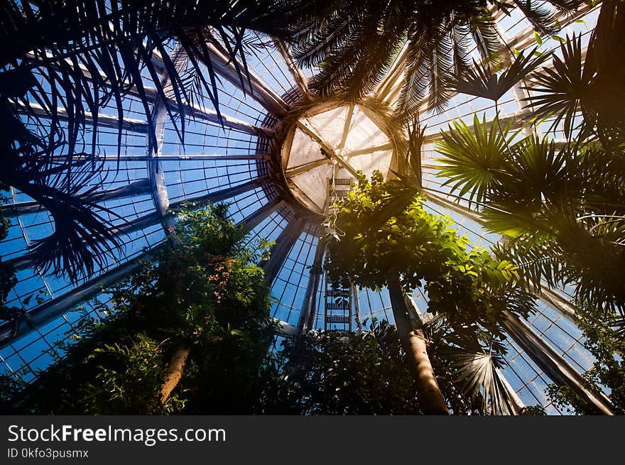 The greenhouse in the Botanical Garden in Copenhagen