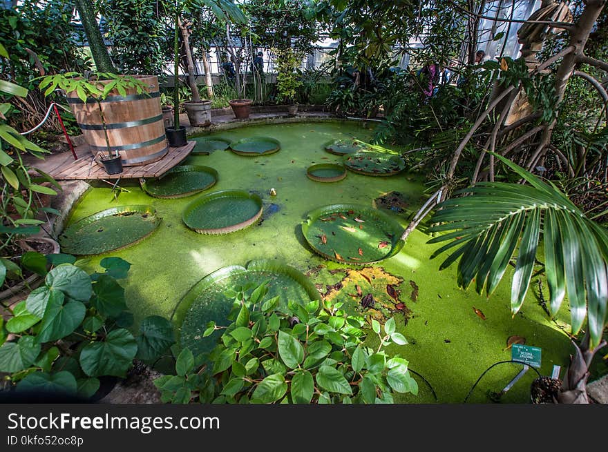 The greenhouse in the Botanical Garden in Copenhagen