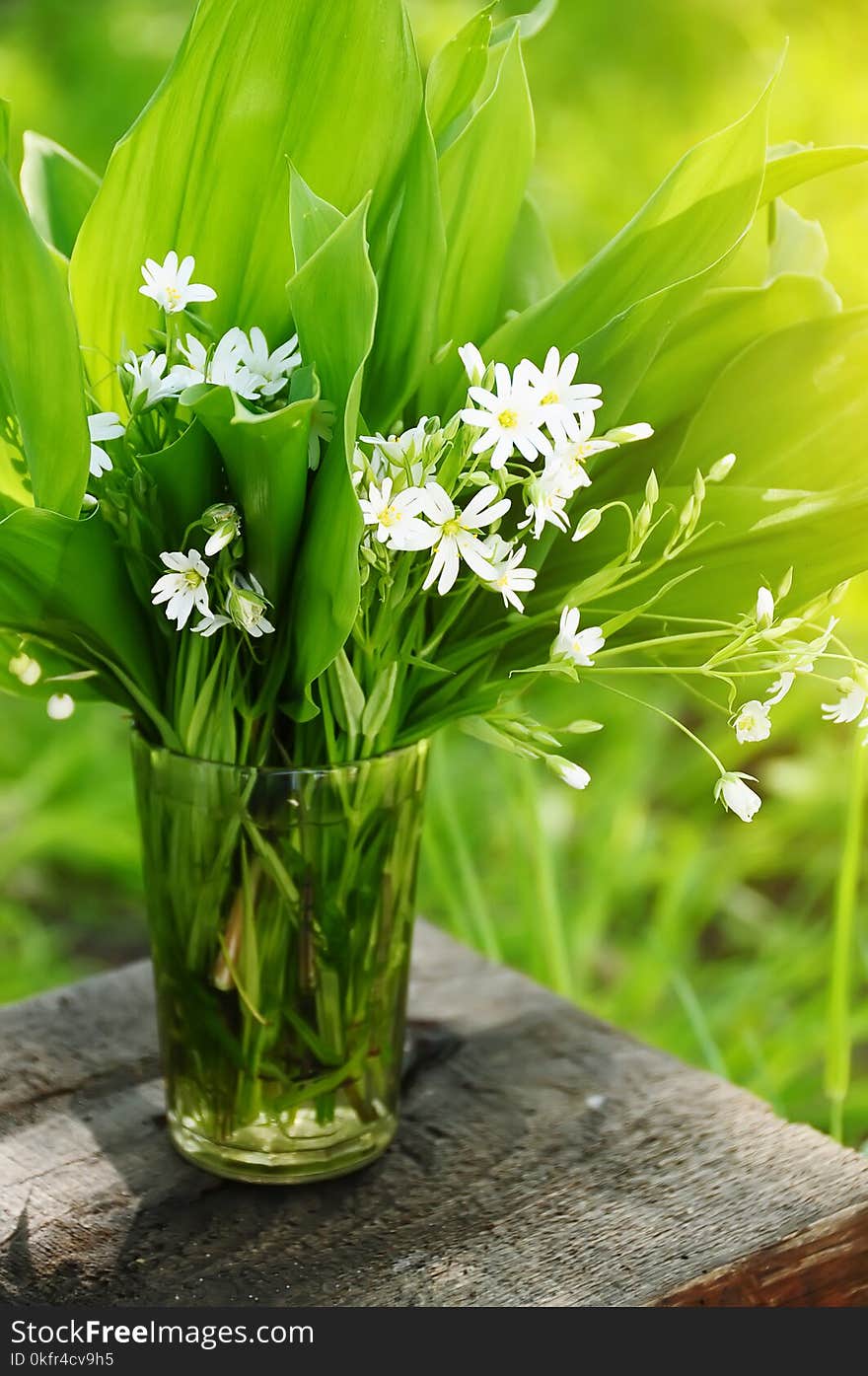 Delicate spring forest flowers in a bouquet with