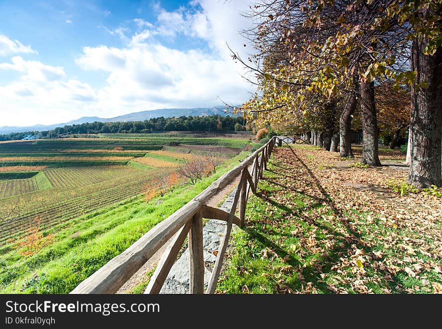 Landscape of park with vine-yard and wood with italian mountains on background at fall season. Sicilly, Italy, Europe. Vibrant outdoors horizontal image. Wide angle view. Landscape of park with vine-yard and wood with italian mountains on background at fall season. Sicilly, Italy, Europe. Vibrant outdoors horizontal image. Wide angle view.