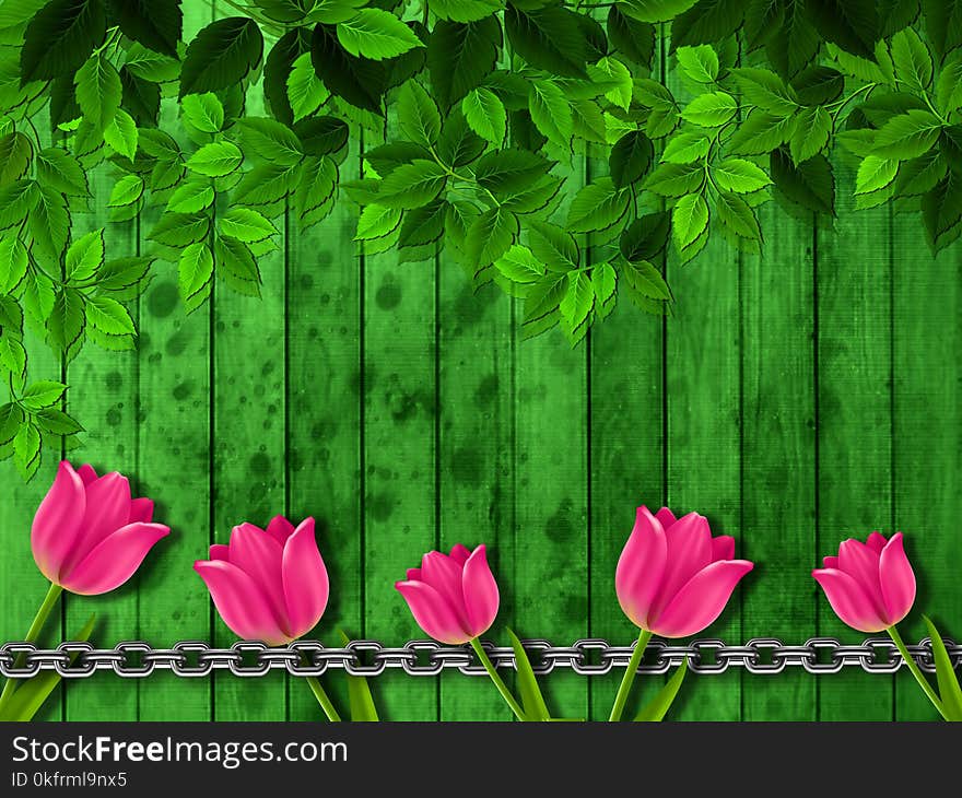 Flower, Green, Leaf, Flora