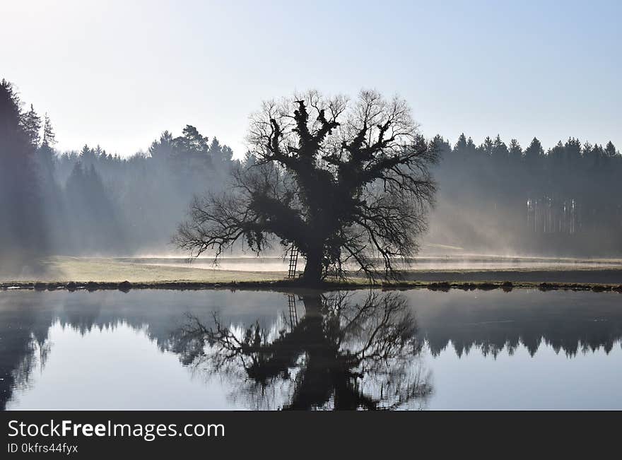 Reflection, Water, Nature, Mist