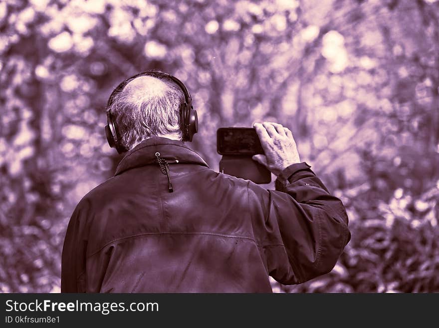 Photograph, Purple, Tree, Photography